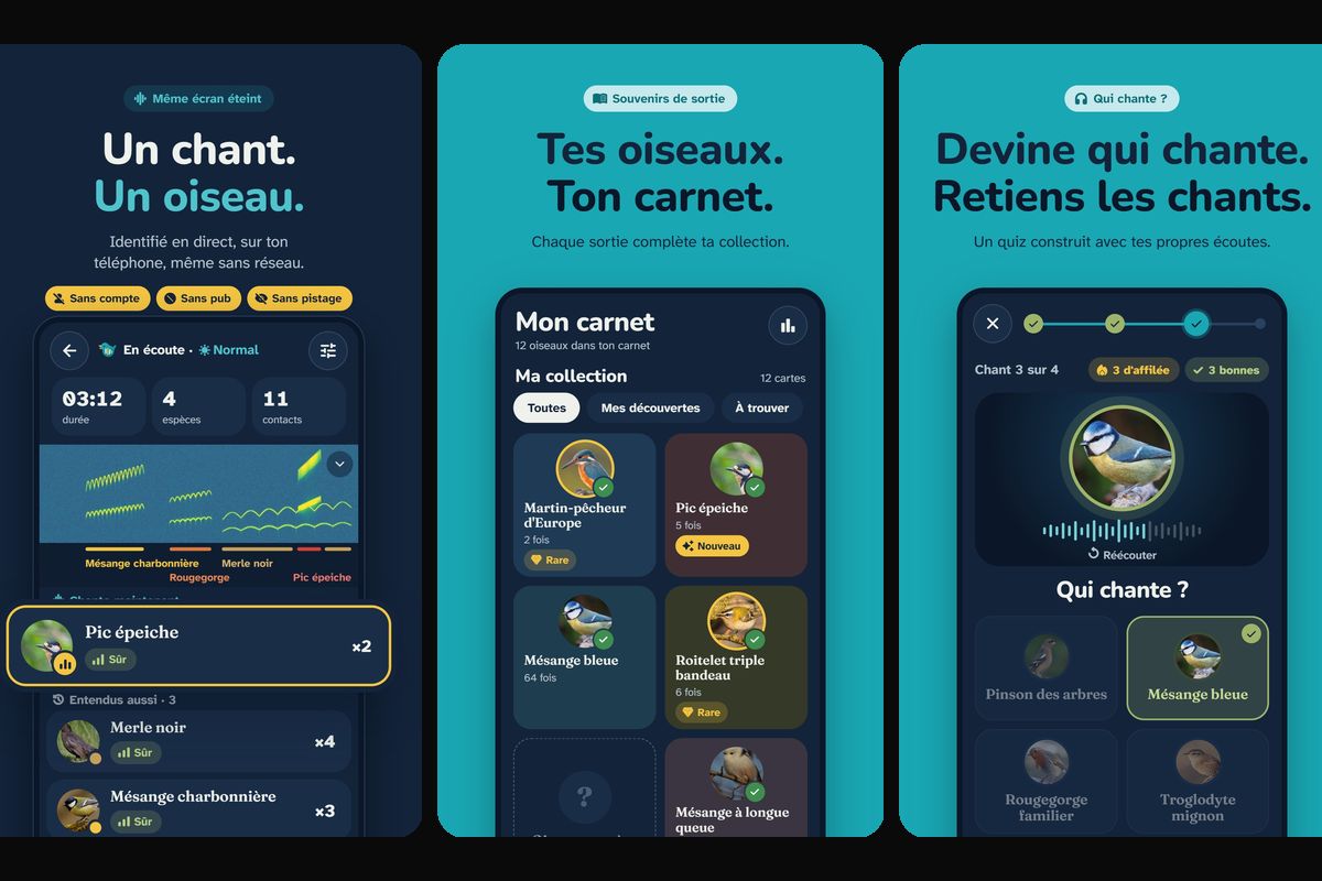 BirdyGo - Écoute en direct, carnet de collection et quiz « Qui chante ? » (captures de l'application Android)